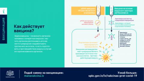 Телефон для переноса вакцинации